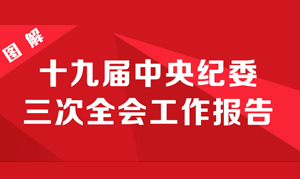 图解十九届中央纪委三次全会工作报告