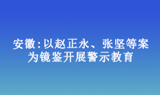 安徽:以赵正永、张坚等案为镜鉴开展警示教育