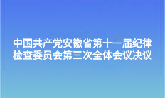 中国共产党安徽省第十一届纪律检查委员会第三次全体会议决议
