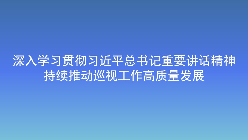 深入学习贯彻习近平总书记重要讲话精神 持续推动巡视工作高质量发展