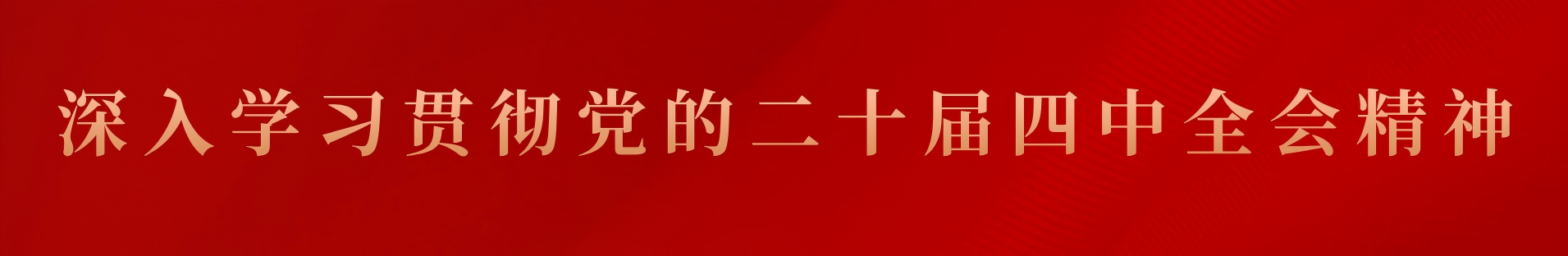 深入学习贯彻党的二十届四中全会精神